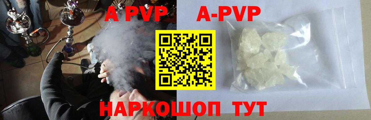 Alfa_PVP СК КРИС Туапсе